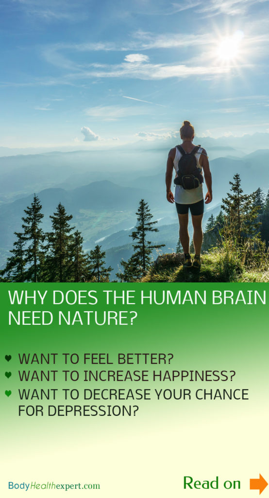 effects of nature to our brain function